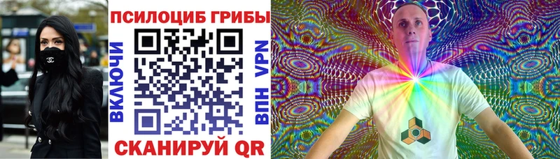 площадка как зайти  купить  цена  Печора  Галлюциногенные грибы Magic Shrooms 